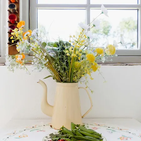With Blixen Kitchen In Mulbjerg Hills
