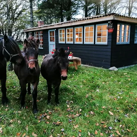 With Blixen Kitchen In Mulbjerg Hills *